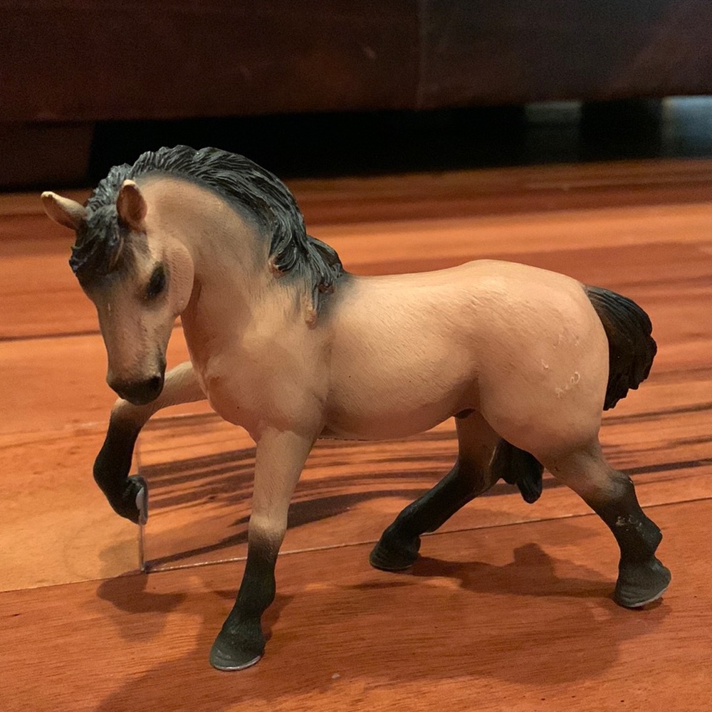 Schleich Collector’s horse.